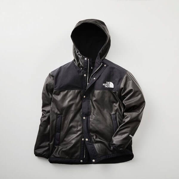 ノースフェイススーパーコピー GTX Pamir Jacket パミールジャケット NP11861R