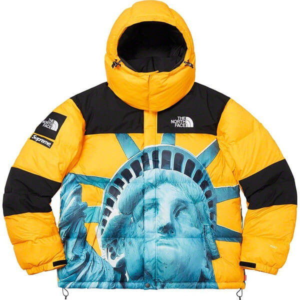 シュプリーム/ノースフェイスコピー Statue Of Liberty Mountain JacketND955