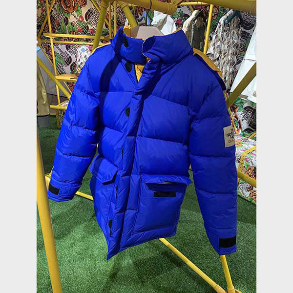 ノースフェイス × グッチ DOWN JACKET ダウンコート2色