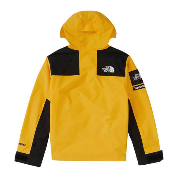 シュプリーム/ザ ノース フェイススーパーコピー アーク ロゴ マウンテン パーカ ノースフェイス X シュプリーム Arc Logo Mountain Parka SS19 WEEK 5