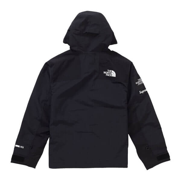 シュプリーム/ザ ノース フェイススーパーコピー アーク ロゴ マウンテン パーカ ノースフェイス X シュプリーム Arc Logo Mountain Parka SS19 WEEK 5