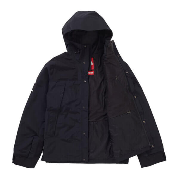 シュプリーム/ザ ノース フェイススーパーコピー アーク ロゴ マウンテン パーカ ノースフェイス X シュプリーム Arc Logo Mountain Parka SS19 WEEK 5