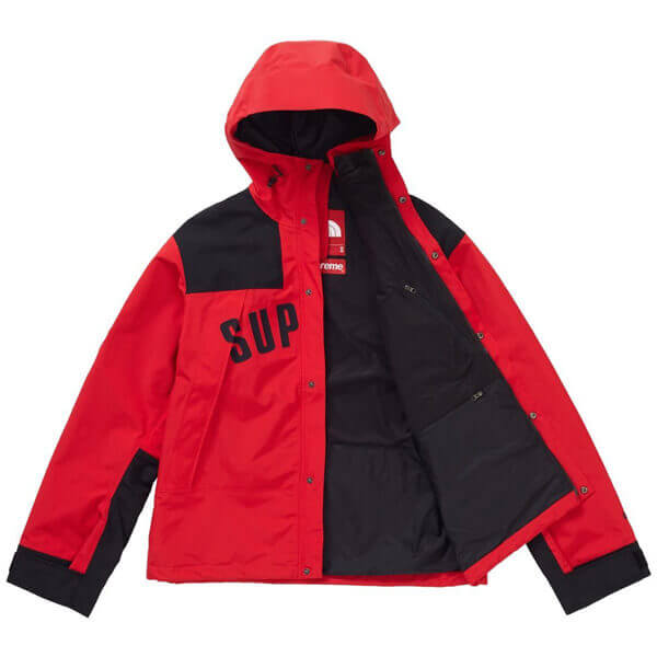 シュプリーム/ザ ノース フェイススーパーコピー アーク ロゴ マウンテン パーカ ノースフェイス X シュプリーム Arc Logo Mountain Parka SS19 WEEK 5